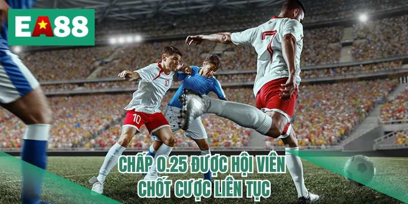 Chấp 0.25 được hội viên chốt cược liên tục