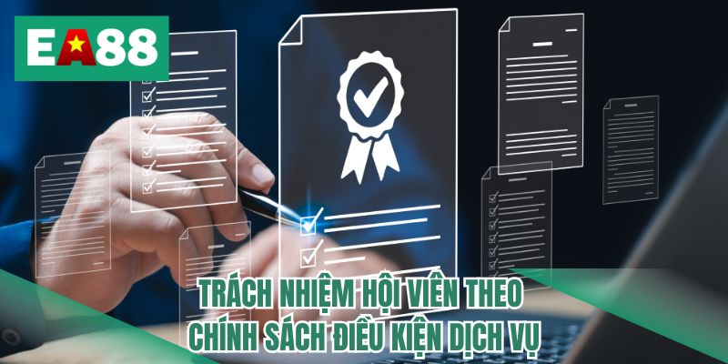 Trách nhiệm hội viên theo chính sách điều kiện dịch vụ